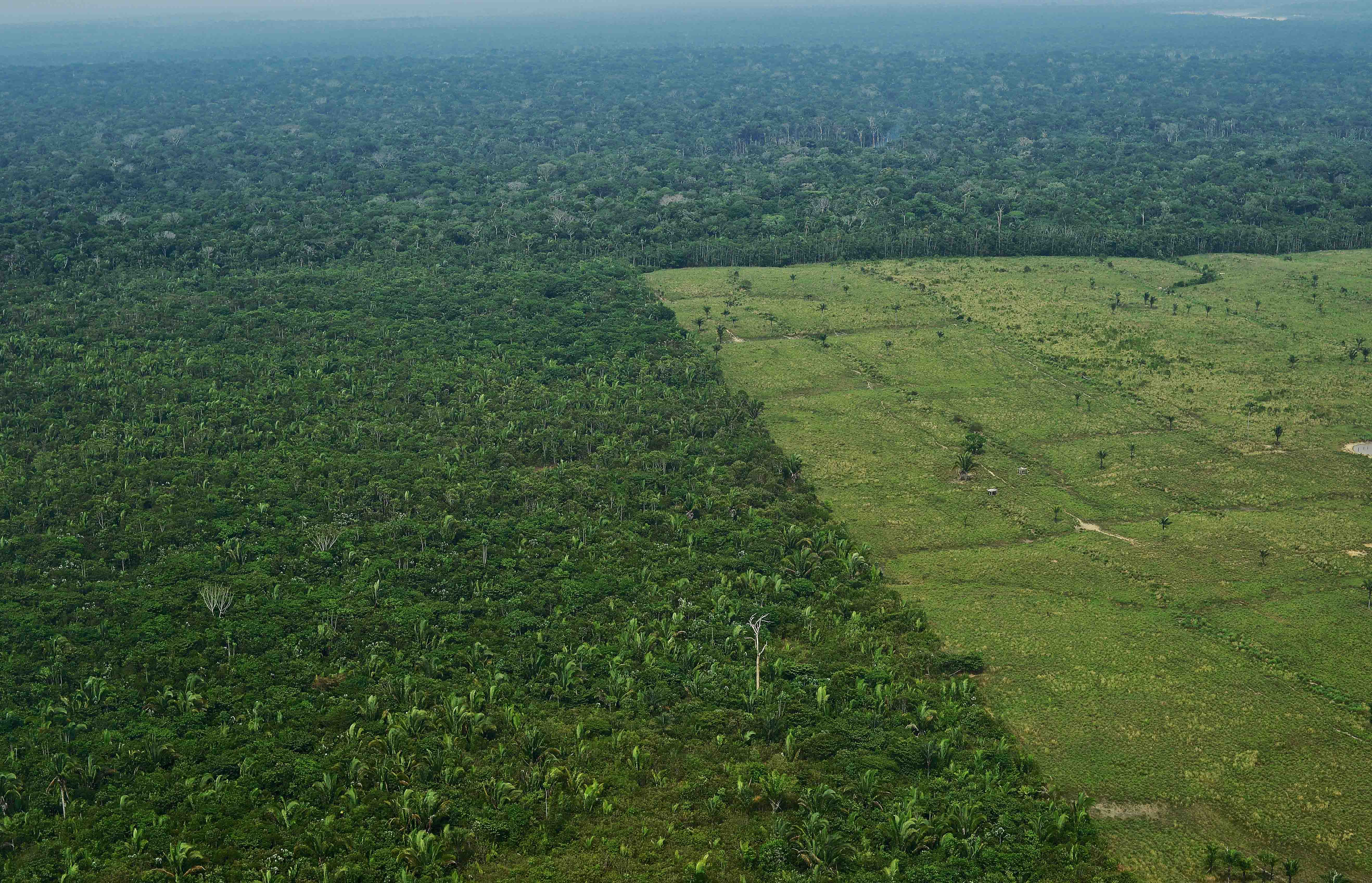 Обезлесивание. Тропические леса амазонки в Бразилии. Вырубка тропических лесов в Бразилии. Обезлесение Бразилии. Обезлесение Амазонка.