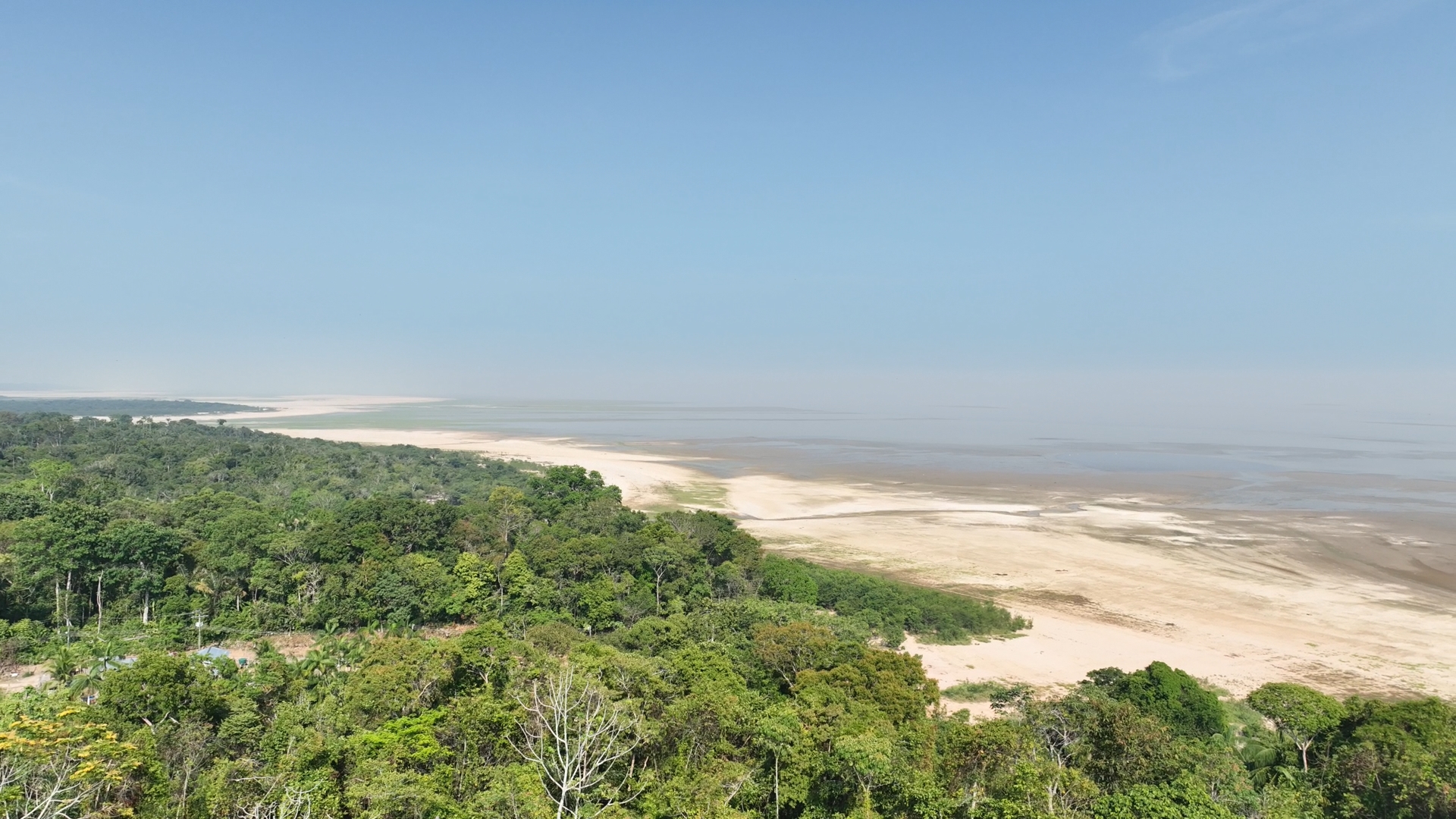 Desde 23 de setembro, com a seca se alastrando fortemente pela Amazônia e a temperatura da água subindo, 153 botos foram encontrados mortos na região de Tefé, Amazonas