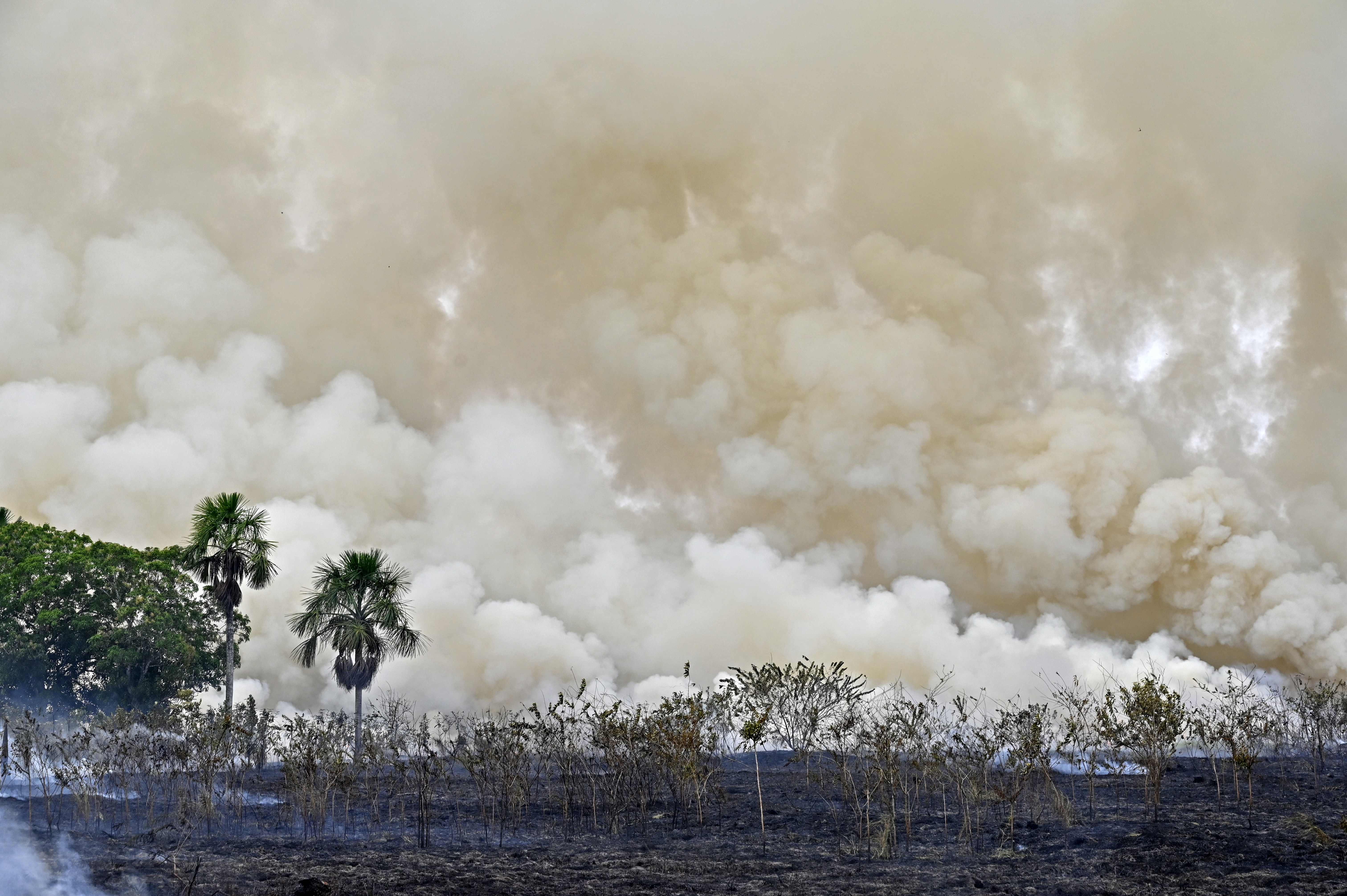 Forest fire in the city of Labrea, Amazonas