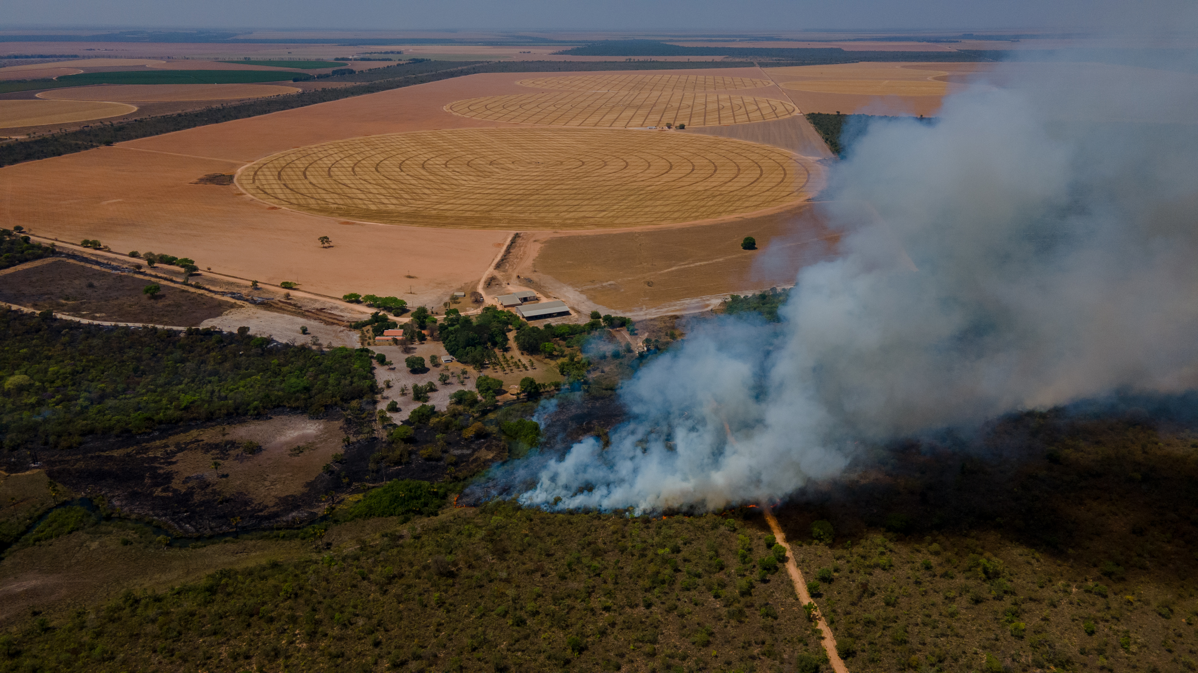 Cerrado Brasileiro – Queima controlada em área de vegetação nativa cercada por fazendas de monocultura, próxima à rodovia BR-459, conhecida como “Anel da Soja”, entre os municípios de Barreiras e Luís Eduardo Magalhães, Bahia