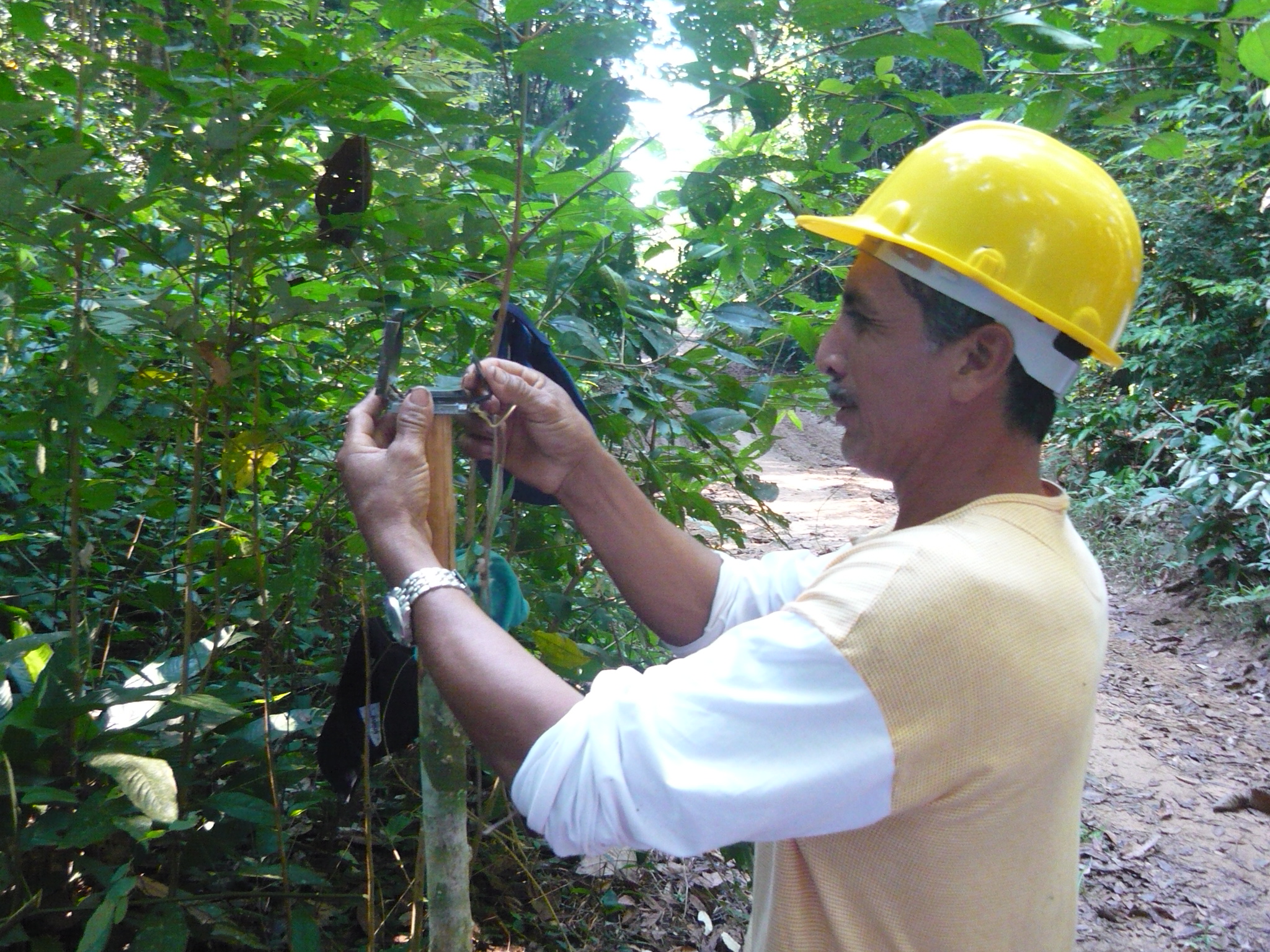 No início do segundo semestre, foi realizada mais uma etapa do curso de manejo florestal, que tem o objetivo de capacitar produtores na extração sustentável dos recursos da floresta