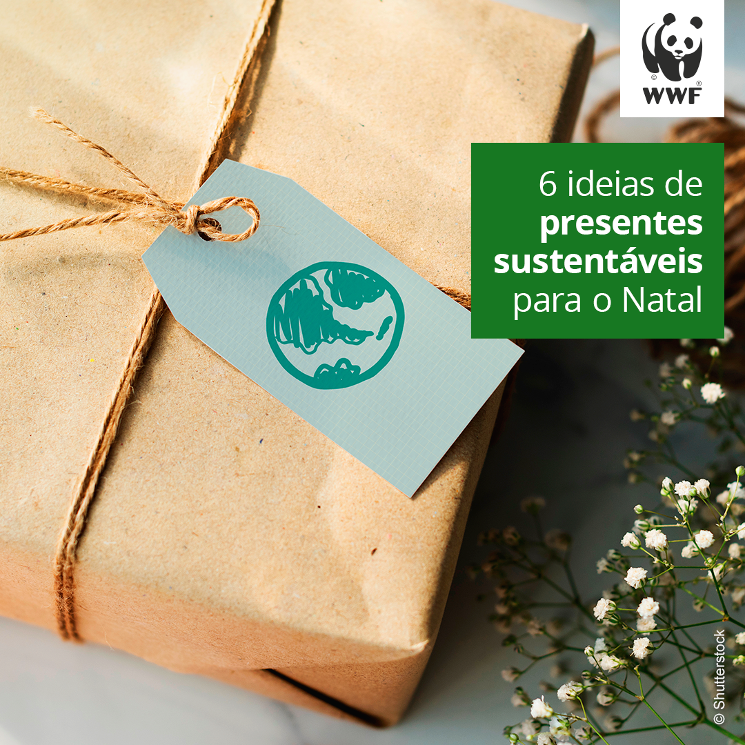 6 ideias de presentes sustentáveis para o Natal | WWF Brasil