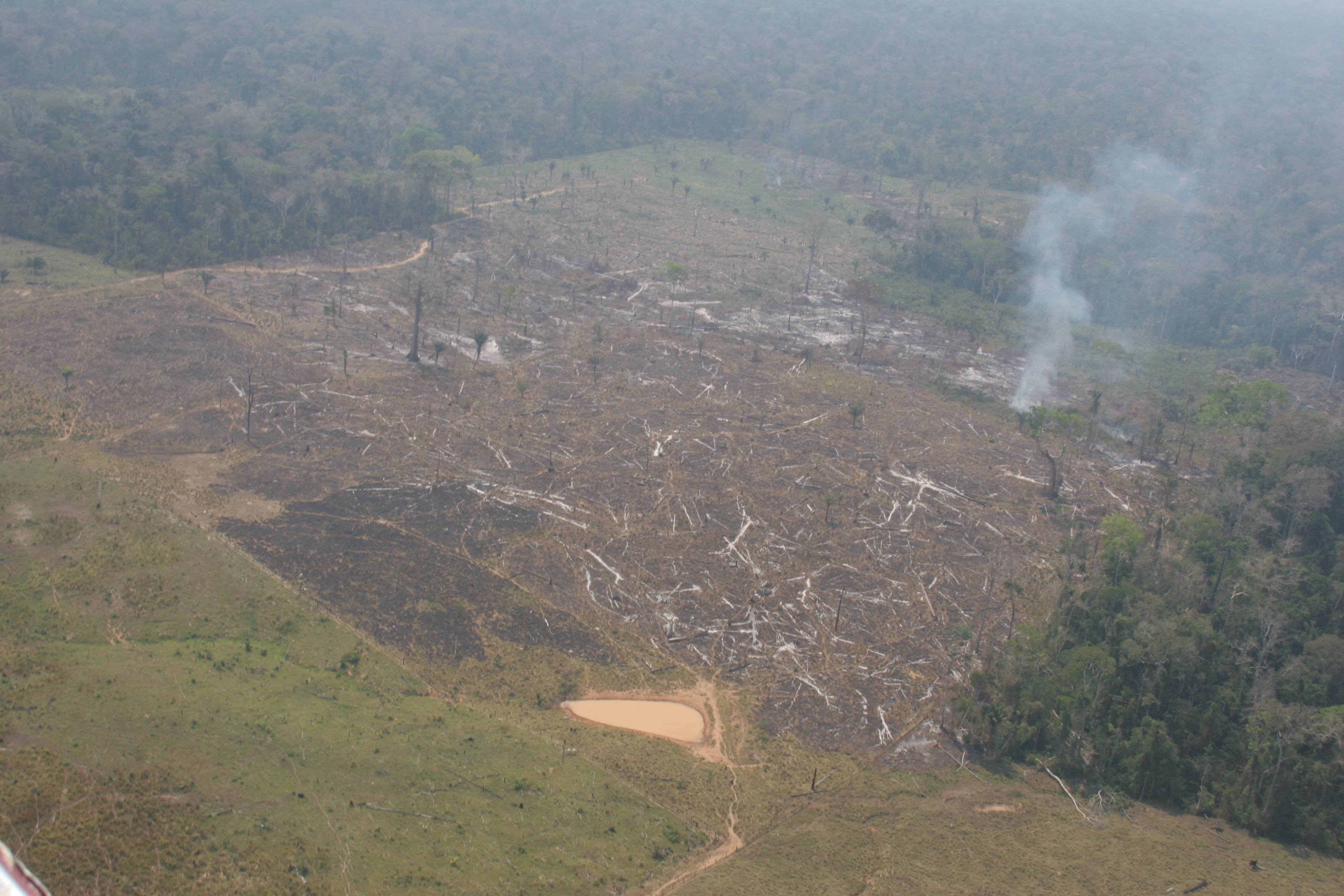 Área de floresta devastada pelo fogo no Acre.