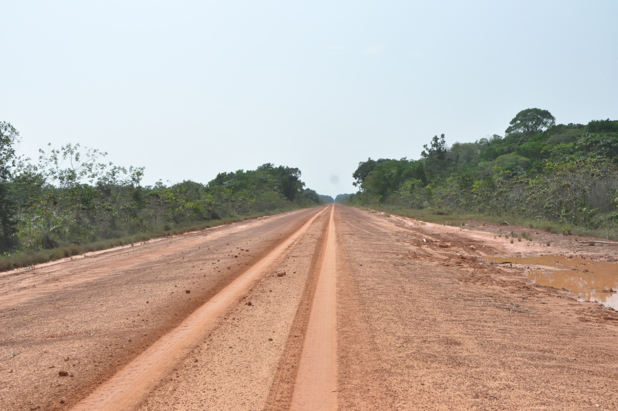 Ramais ligados à BR-319 levam fogo a áreas protegidas no as; estado  tem recorde de queimadas em setembro - Infoia