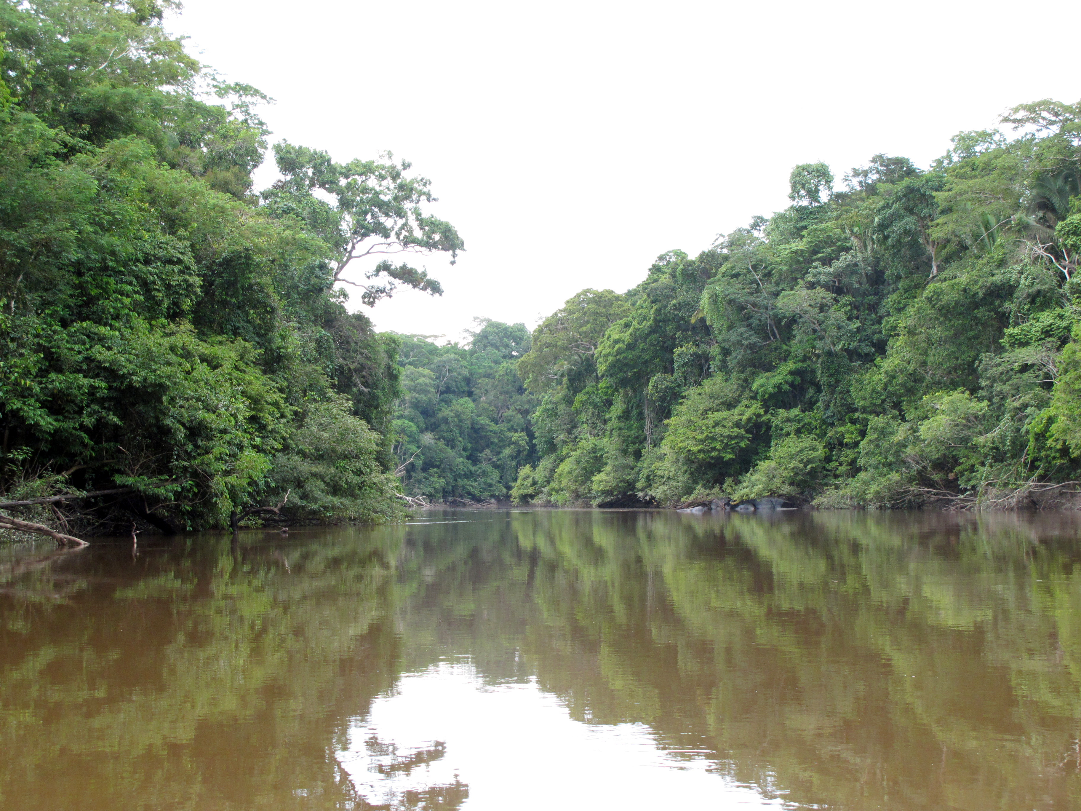 Rio Guariba, durante a Expedição Guariba-Roosevelt 2010.
