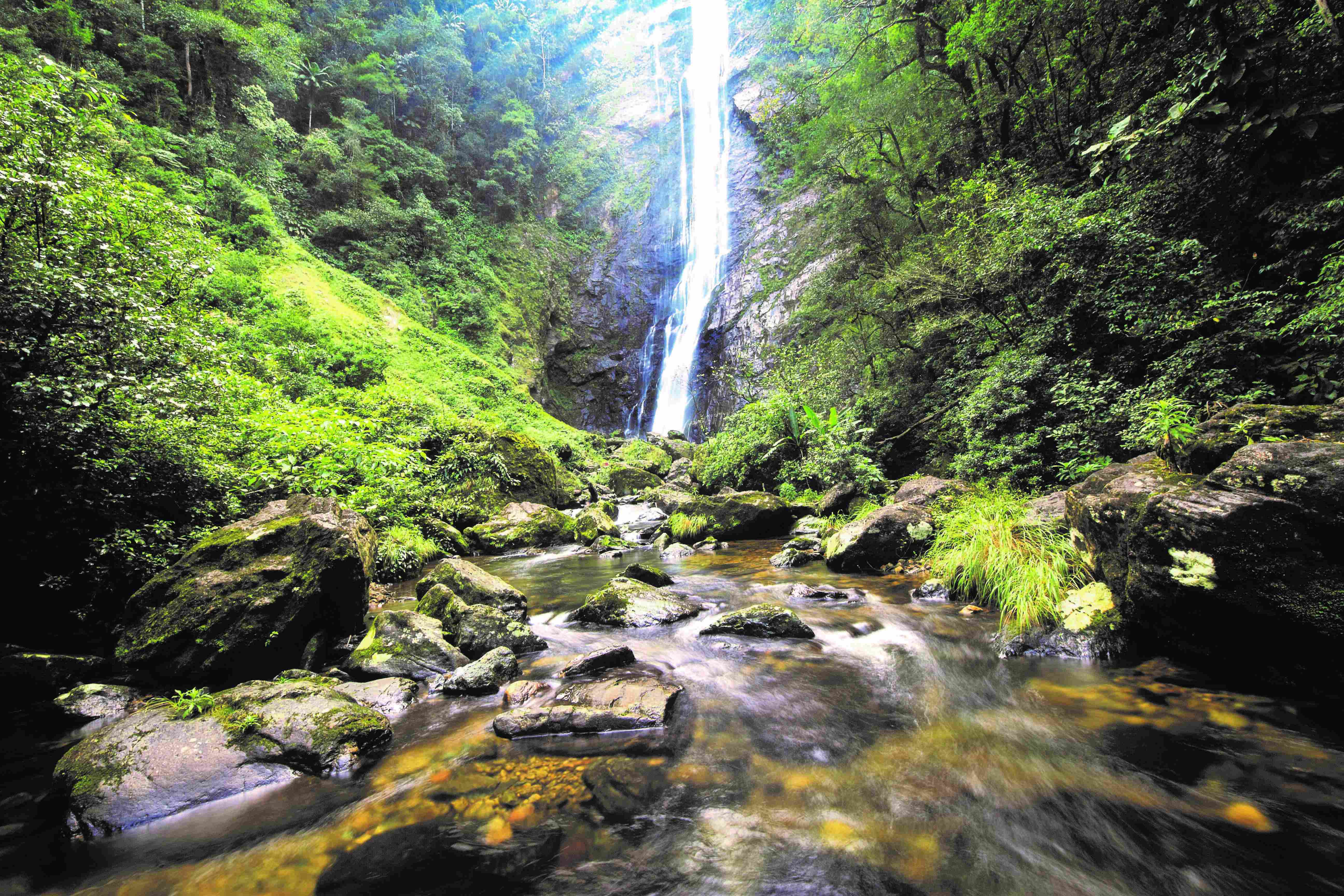 A Reserva Natural Salto Morato é uma Reserva Particular do Patrimônio Natural (RPPN), localizada em Guaraqueçaba, litoral norte do Paraná. 