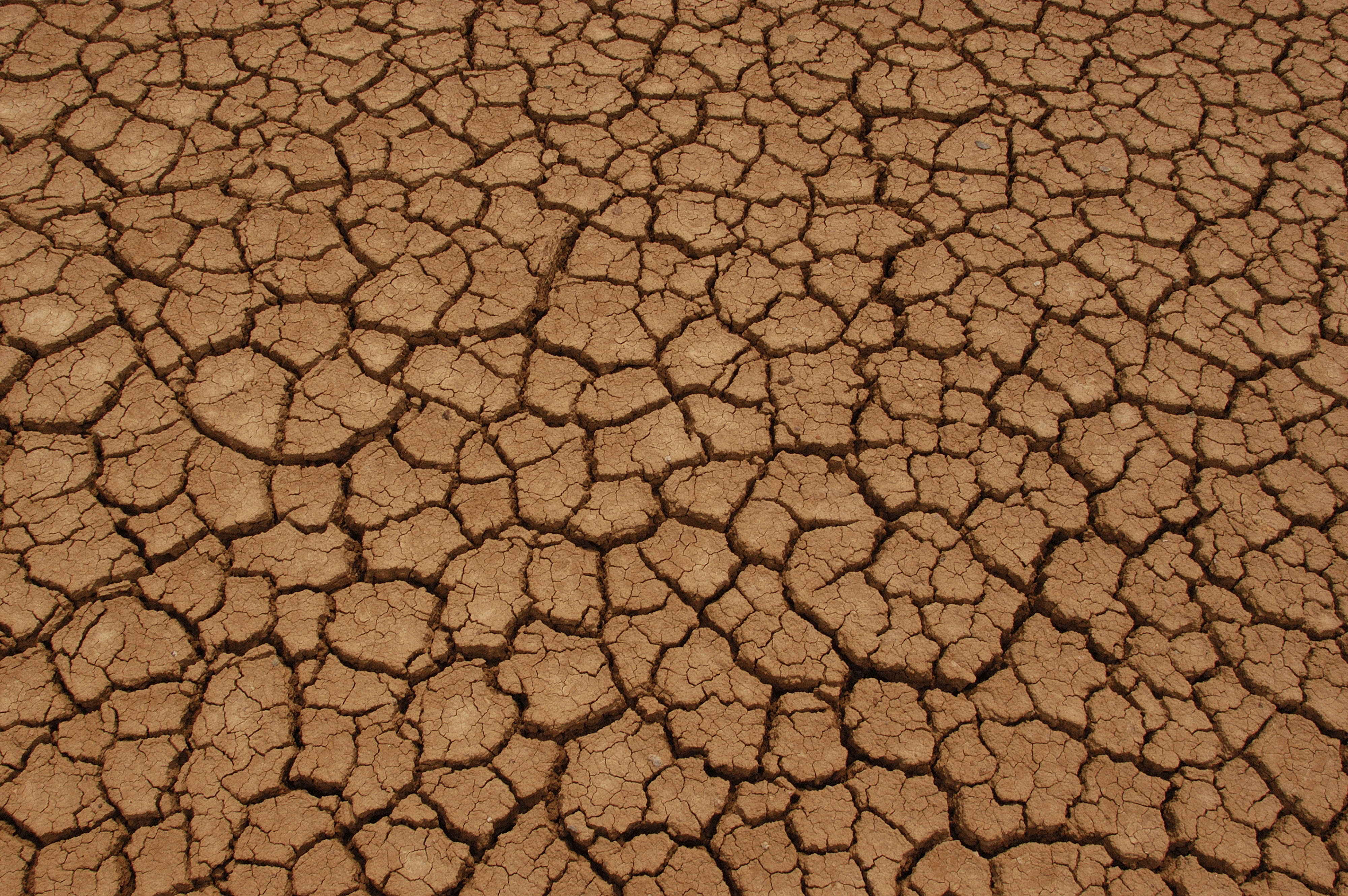 Foto de seca na África