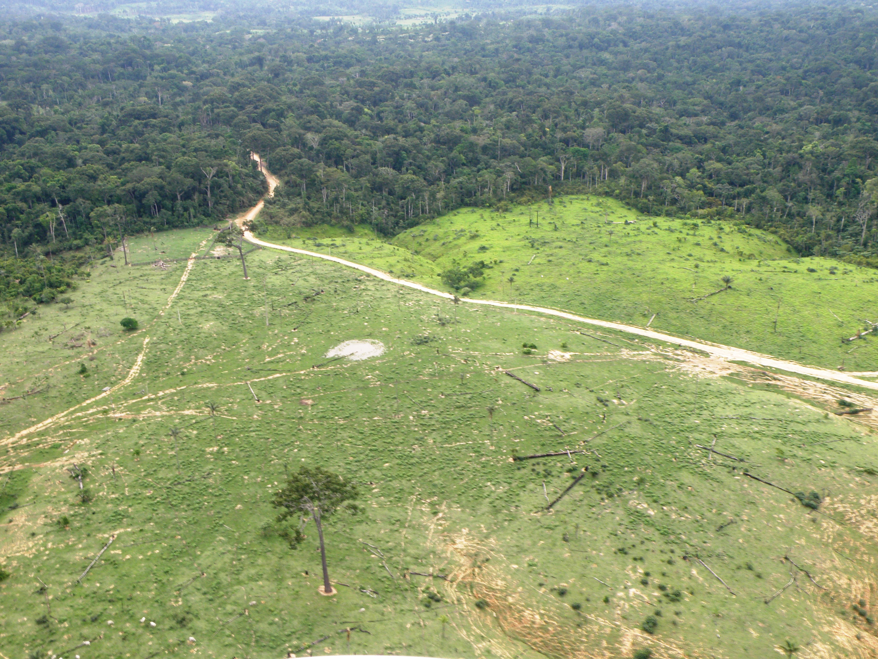 Vista aérea de desmatamento na Amazônia
