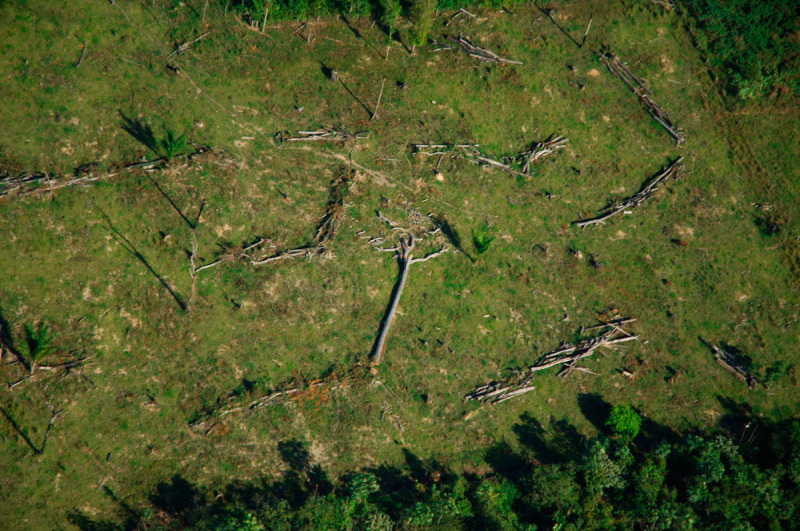 Vista aérea de área desmatada no Parque Nacional Juruena. A cobertura florestal está sendo substituída por pastos.