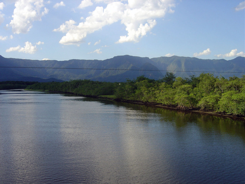 Manguezal Guaratuba, Bertioga, São Paulo.
