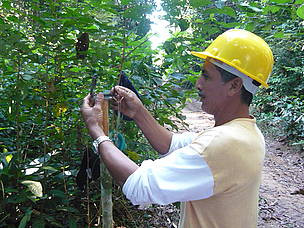 No início do segundo semestre, foi realizada mais uma etapa do curso de manejo florestal, que tem o objetivo de capacitar produtores na extração sustentável dos recursos da floresta