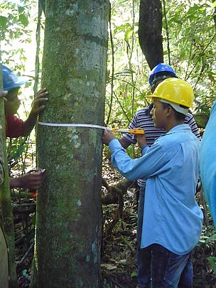 Implementação do Código Florestal é tema de seminário e intercâmbio em Rio Branco (AC)