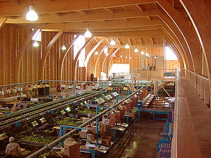 Vista interna do Greenvic Packing, um grande centro de venda de alimentos orgânicos em Santiago, Chile