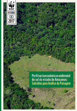 Perfil socioeconômico e ambiental do sul do estado do Amazonas: subsídios para análise da paisagem