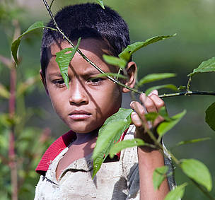 Menino amazônida 
© WWF-Brasil/Adriano Gambarini