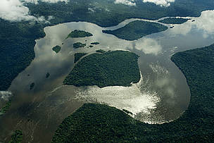 WWF-Brazil in defence of the forests at the World Social Forum