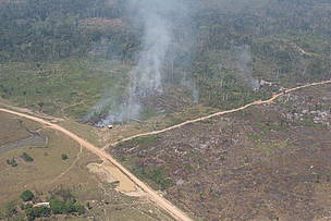 Detalhe de área desmatada na Amazônia. 
© WWF-Brasil/Juvenal Pereira