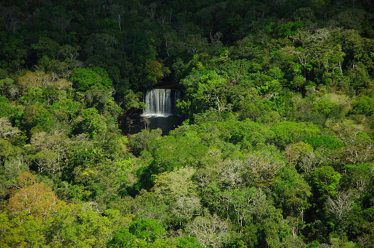  O Parque Nacional do Juruena faz parte do mosaico da Amazônia Meridional. 