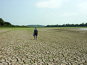 Registro da seca na Amazônia em 2005, Silves, AM. 
© Ana Cintia GAZZELLI/WWF-Brasil