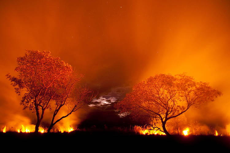 Instituições de diversos países debatem a questão das queimadas na Bacia Amazônica e Alto Paraguai