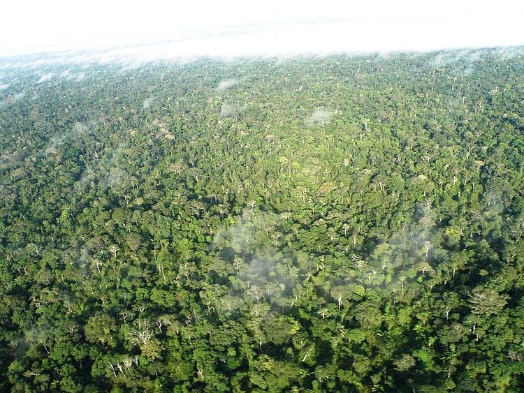  As mudanças no Código Florestal provocariam acréscimo nas emissões brasileiras 