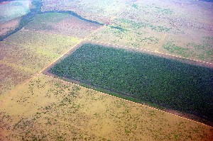 Desmatamento causado pela agricultura na região do Xingu 
© WWF-Brasil / Ilan Kruglianskas