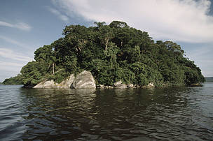  Parque Nacional Superagüi. Área protegida de Mata Atlântica no ...