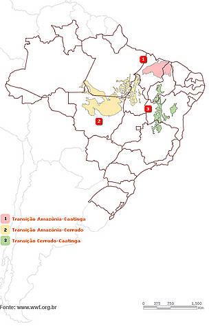 Mapa das Zonas de Transição 
© WWF-Brasil