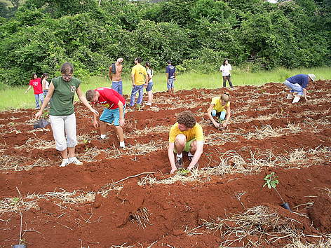 M'utirões de plantios de mudas nativas em pequenas propriedades em Botucatu (SP). rel=