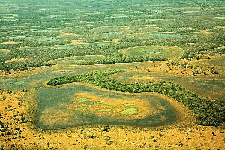  Vista aérea do Pantanal 