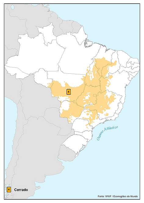 O Cerrado brasileiro. rel=