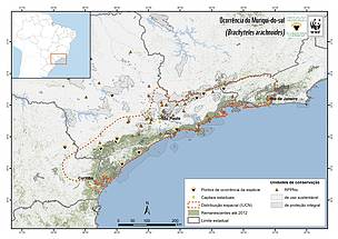 Mapa de ocorrência do Muriqui-do-Sul (Brachyteles arachnoides) 
© WWF-Brasil