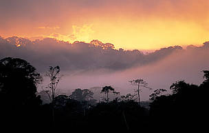 Pôr-do-sol na floresta amazônica, Guiana Francesa.