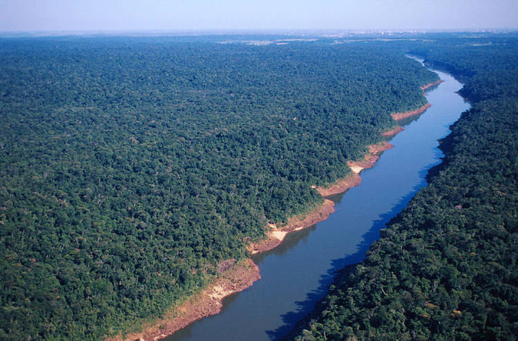  A Ecorregião Florestas do Alto Paraná engloba uma área original de mais de 471 mil Km2, que se estende do oeste da Serra do Mar brasileira ao leste do Paraguai, incluindo a província de Misiones, na Argentina.Da sua área total, restam apenas 7,4% de florestas, basicamente em UCs como o Parque Nacional do Iguaçu (Brasil), que ainda sobrevive como um dos maiores remanescentes de Mata Atlântica. 