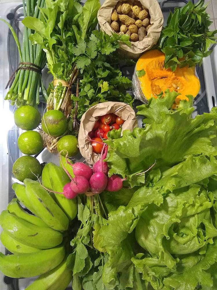  Frutas, verduras, legumes e muito mais! As Comunidades que Sustentam a Agricultura abastecem famílias com saúde 
