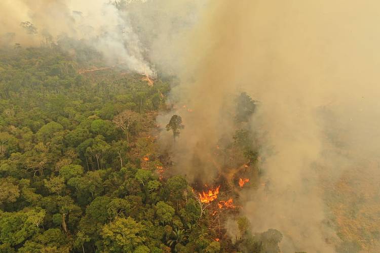  Entre janeiro e agosto de 2019, a área total atingida pelo fogo foi de 4,3 milhões de hectares apenas na Amazônia brasileira 