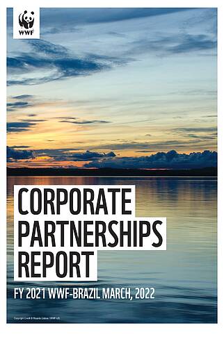  Relatório de Parcerias Corporativas (ano fiscal 2021, em inglês) 