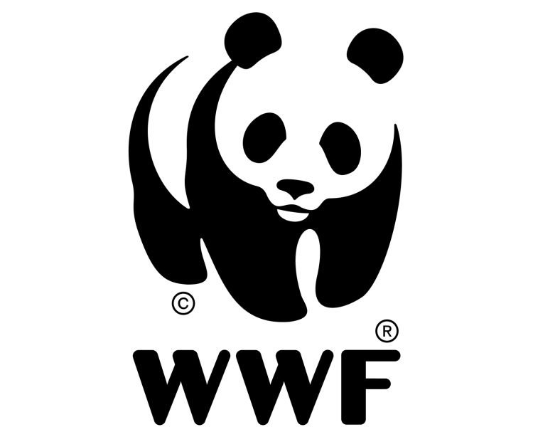 Pantanal: doação do WWF-Brasil ajudará no monitoramento da arara azul