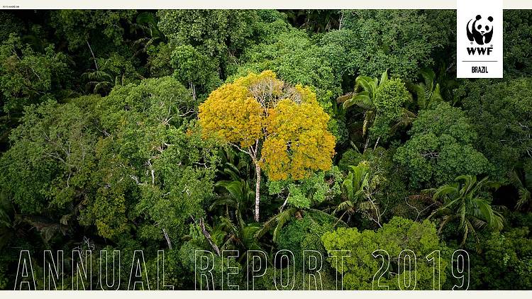 WWF-Brazil Annual Report 2019